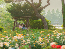 PAC GROUP  собирает группу в Южную Корею на майские праздники