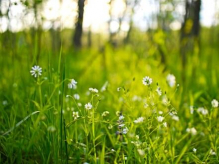 Россия дороже Турции? Сегодня на Profi.Travel эксперты обсудят предстоящее лето