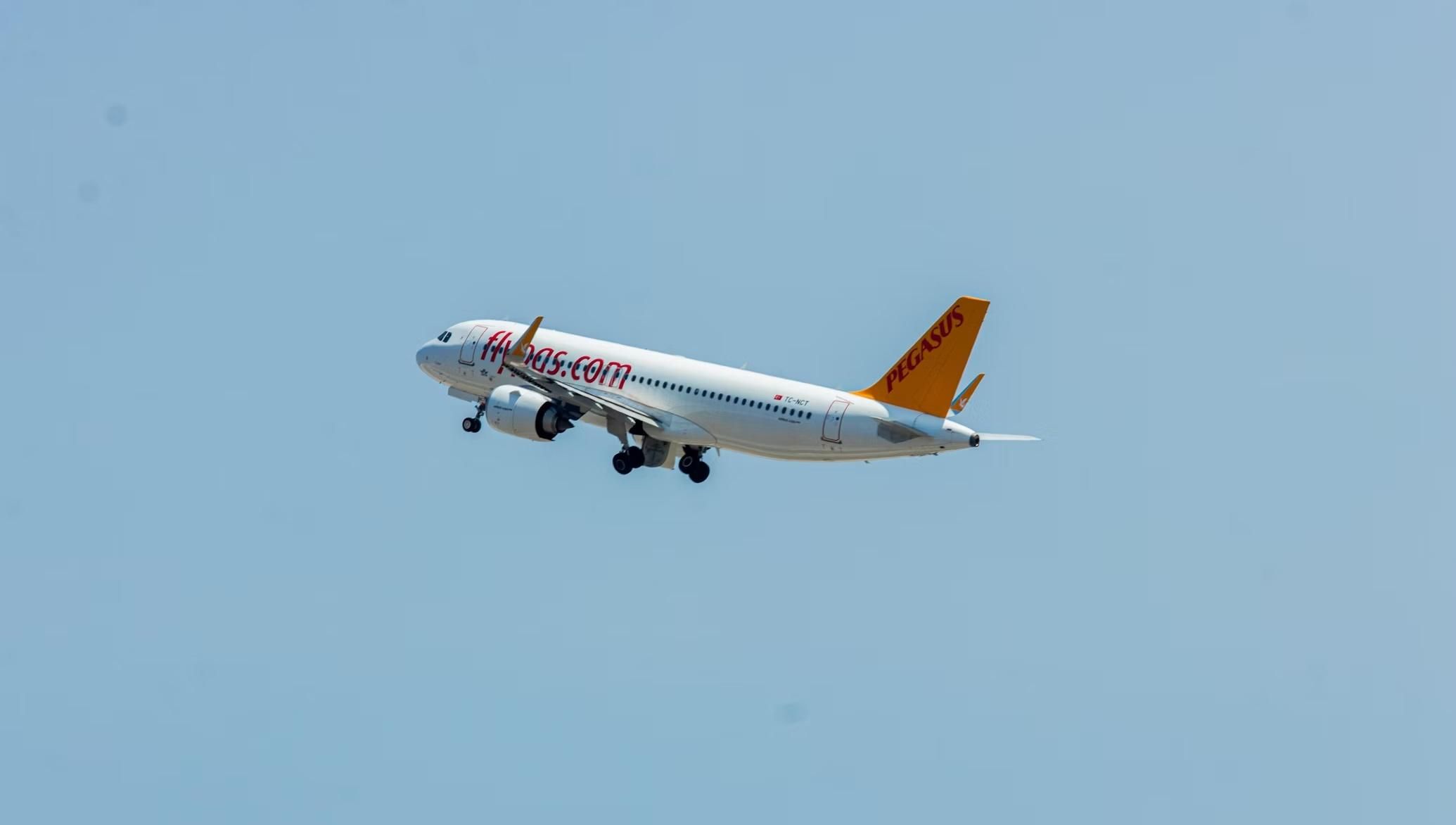 Pegasus Airlines хочет сделать платной ручную кладь / Новости на  Profi.Travel