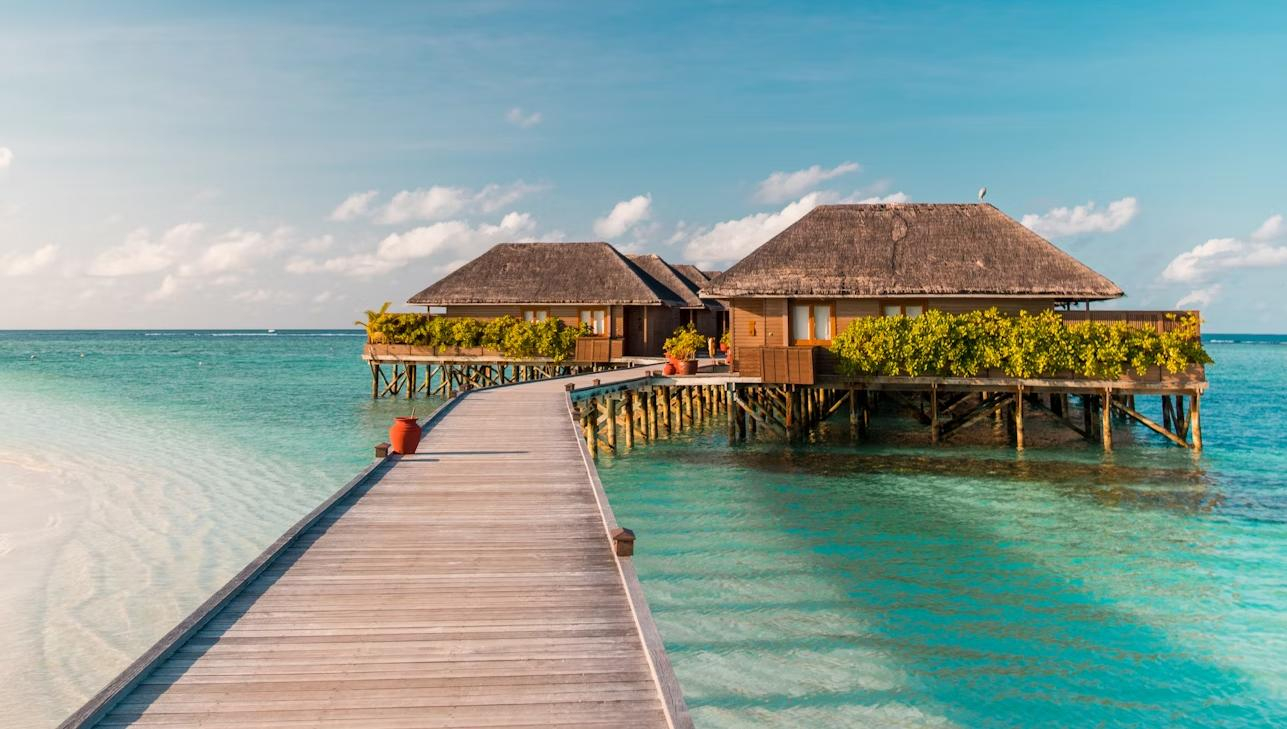 Мальдивы «увели» российских туристов у Турции