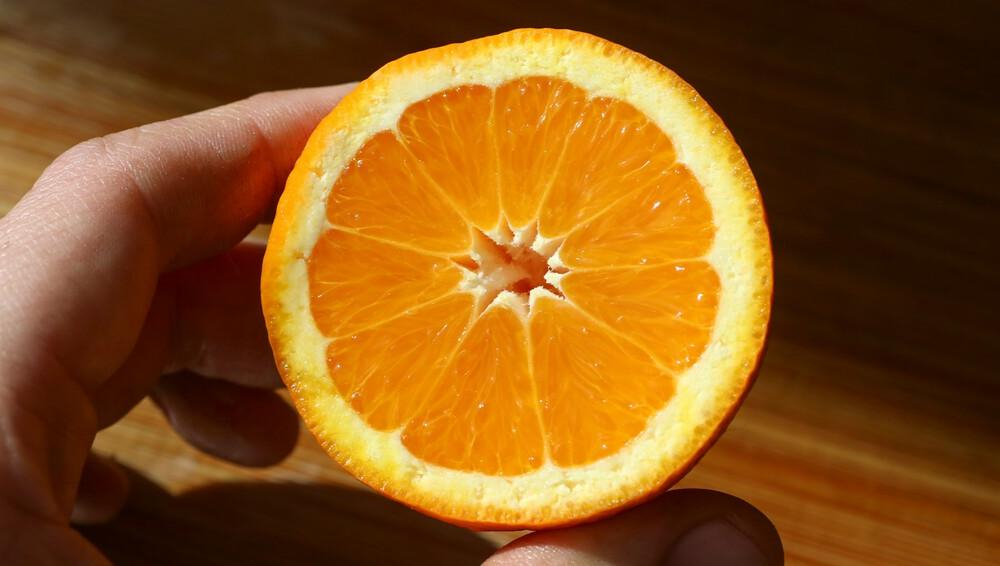 Мы делили апельсин: стоит ли турагентам дробить бизнес?