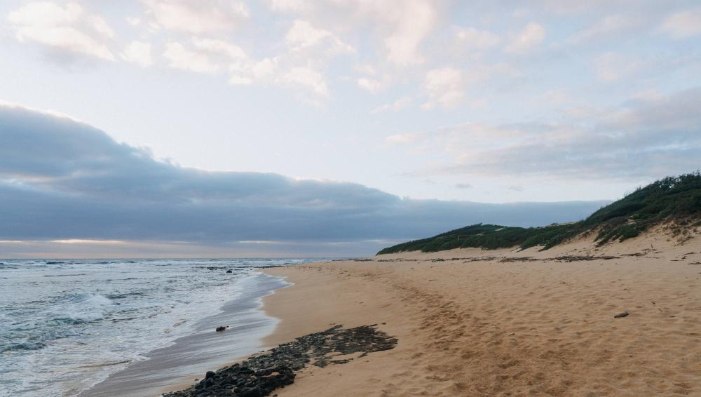 Скидок 40% этим летом в Анапе не будет