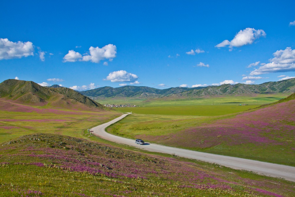 Исследуйте Алтай летом-2024: экскурсионные программы и автотуры + розыгрыш призов от ТО «Алтай-Инфо»